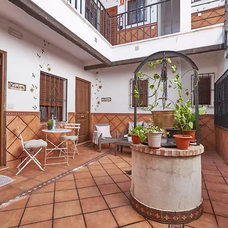 Toledorooms Estrella Con Azotea En El Casco *