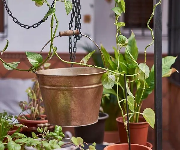 Toledorooms Estrella Con Azotea En El Casco *